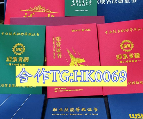 定制办证